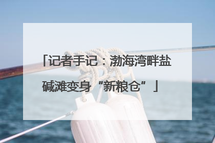 记者手记：渤海湾畔盐碱滩变身“新粮仓”