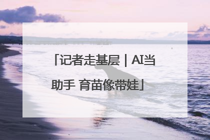 记者走基层｜AI当助手 育苗像带娃