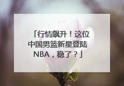 行情飙升！这位中国男篮新星登陆NBA，稳了？