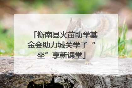 衡南县火苗助学基金会助力城关学子“坐”享新课堂