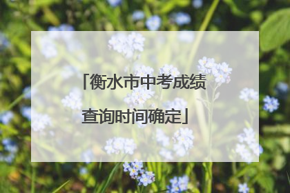 衡水市中考成绩查询时间确定