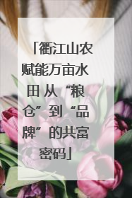 衢江山农赋能万亩水田 从“粮仓”到“品牌”的共富密码