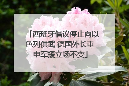 西班牙倡议停止向以色列供武 德国外长重申军援立场不变