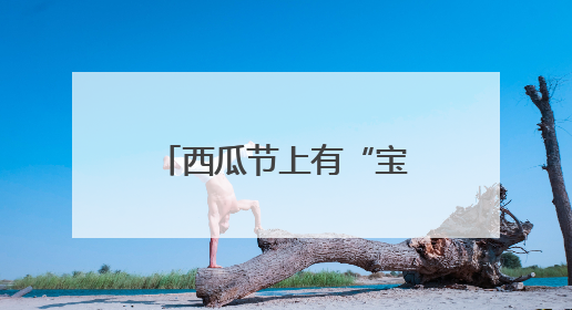 西瓜节上有“宝藏”！天津静海台头西瓜文化旅游节甜蜜开幕
