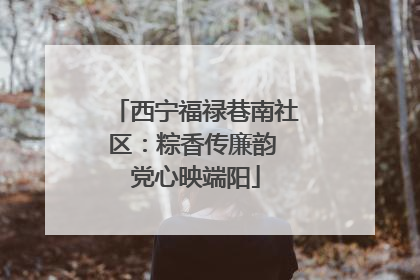 西宁福禄巷南社区：粽香传廉韵 党心映端阳