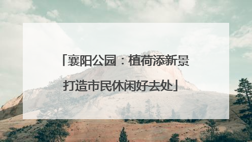 襄阳公园：植荷添新景 打造市民休闲好去处