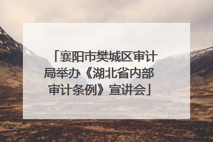 襄阳市樊城区审计局举办《湖北省内部审计条例》宣讲会