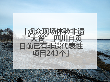 观众现场体验非遗“大餐” 四川自贡目前已有非遗代表性项目243个