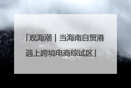 观海潮｜当海南自贸港遇上跨境电商综试区