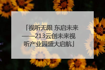视听无限 东启未来——213云创未来视听产业园盛大启航