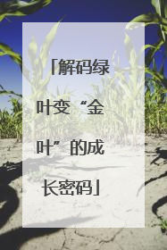 解码绿叶变“金叶”的成长密码