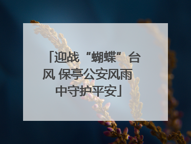 迎战“蝴蝶”台风 保亭公安风雨中守护平安