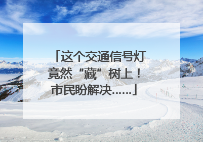 这个交通信号灯竟然“藏”树上！市民盼解决……