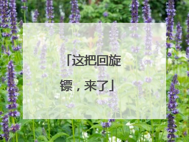 这把回旋镖，来了