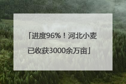 进度96%！河北小麦已收获3000余万亩
