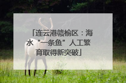 连云港赣榆区：海水“一条鱼”人工繁育取得新突破