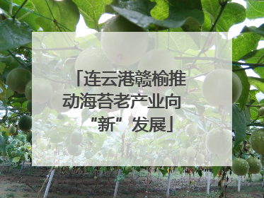 连云港赣榆推动海苔老产业向“新”发展