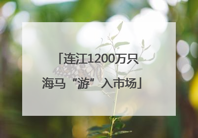 连江1200万只海马“游”入市场