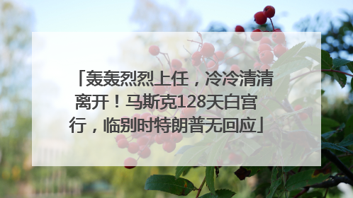 轰轰烈烈上任，冷冷清清离开！马斯克128天白宫行，临别时特朗普无回应