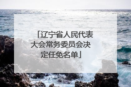 辽宁省人民代表大会常务委员会决定任免名单