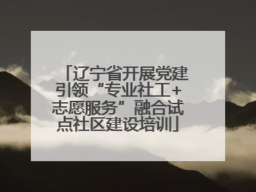 辽宁省开展党建引领“专业社工+志愿服务”融合试点社区建设培训