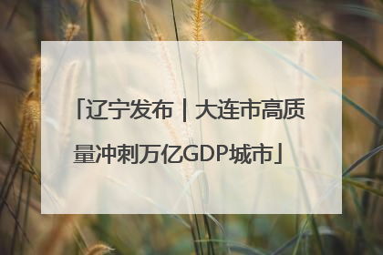 辽宁发布｜大连市高质量冲刺万亿GDP城市