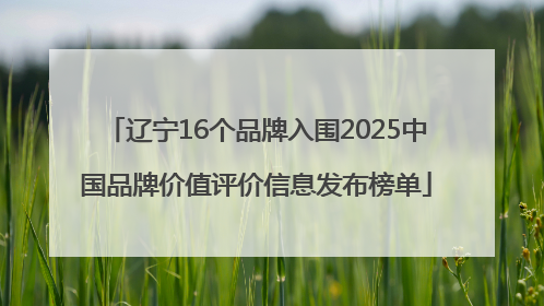 辽宁16个品牌入围2025中国品牌价值评价信息发布榜单