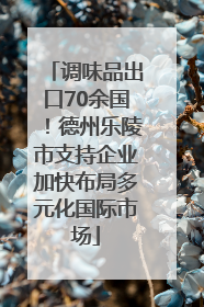调味品出口70余国！德州乐陵市支持企业加快布局多元化国际市场