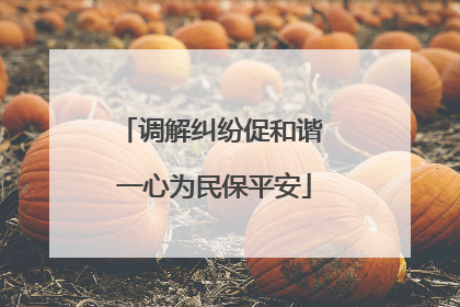 调解纠纷促和谐 一心为民保平安