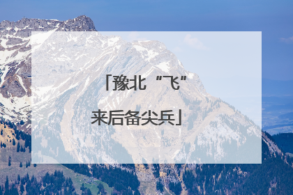 豫北“飞”来后备尖兵