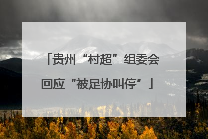 贵州“村超”组委会回应“被足协叫停”