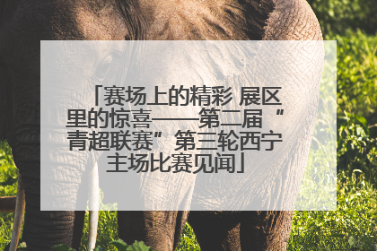 赛场上的精彩 展区里的惊喜——第二届“青超联赛”第三轮西宁主场比赛见闻