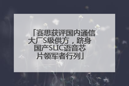 赛思获评国内通信大厂S级供方，跻身国产SLIC语音芯片领军者行列