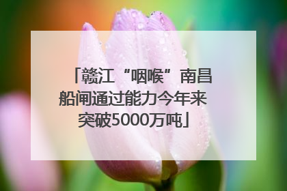 赣江“咽喉”南昌船闸通过能力今年来突破5000万吨