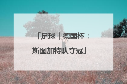 足球｜德国杯：斯图加特队夺冠