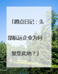 蹲点日记：头部航运企业为何聚集此地？