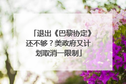 退出《巴黎协定》还不够？美政府又计划取消一限制