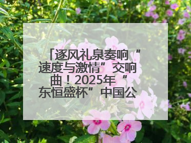 逐风礼泉奏响“速度与激情”交响曲！2025年“东恒盛杯”中国公路自行车联赛第五站（陕西·礼泉站）正式开赛