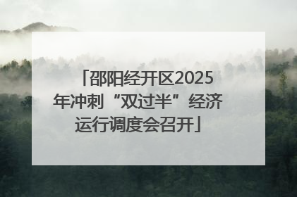 邵阳经开区2025年冲刺“双过半”经济运行调度会召开