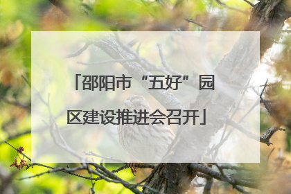 邵阳市“五好”园区建设推进会召开