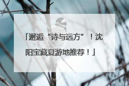 邂逅“诗与远方”！沈阳宝藏夏游地推荐！