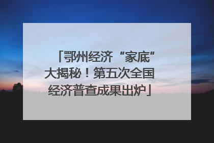 鄂州经济“家底”大揭秘！第五次全国经济普查成果出炉