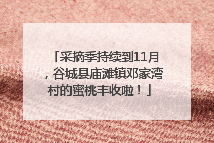 采摘季持续到11月，谷城县庙滩镇邓家湾村的蜜桃丰收啦！