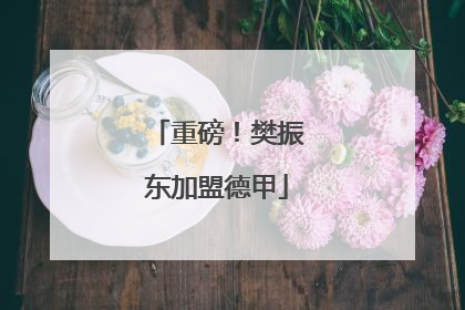 重磅！樊振东加盟德甲