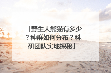 野生大熊猫有多少？种群如何分布？科研团队实地探秘