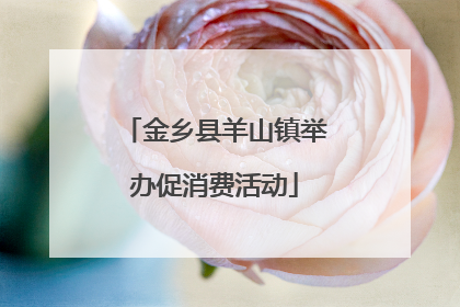 金乡县羊山镇举办促消费活动