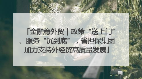金融稳外贸｜政策“送上门”、服务“沉到底”，省担保集团加力支持外经贸高质量发展