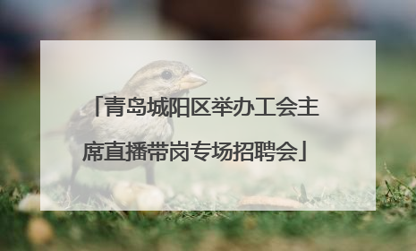 青岛城阳区举办工会主席直播带岗专场招聘会