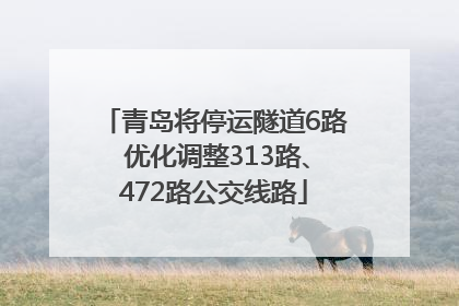 青岛将停运隧道6路 优化调整313路、472路公交线路