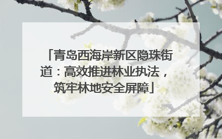 青岛西海岸新区隐珠街道：高效推进林业执法，筑牢林地安全屏障